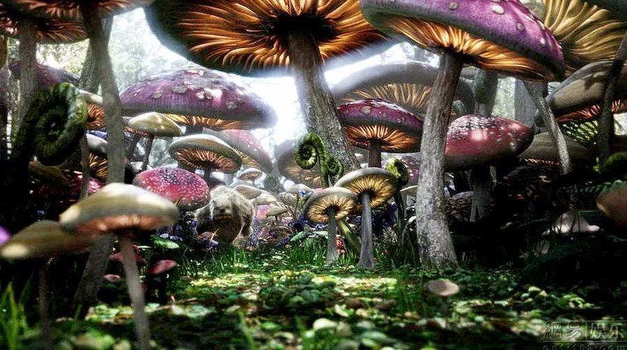 一站式服务,让医院更有温度